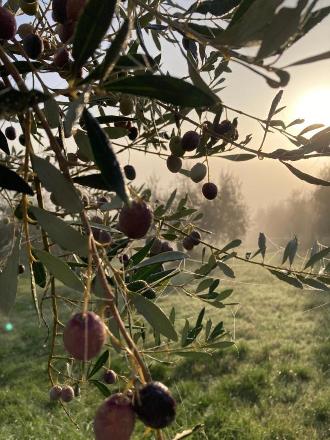 B&B Locanda Toscanini Le Piazze Esterno foto