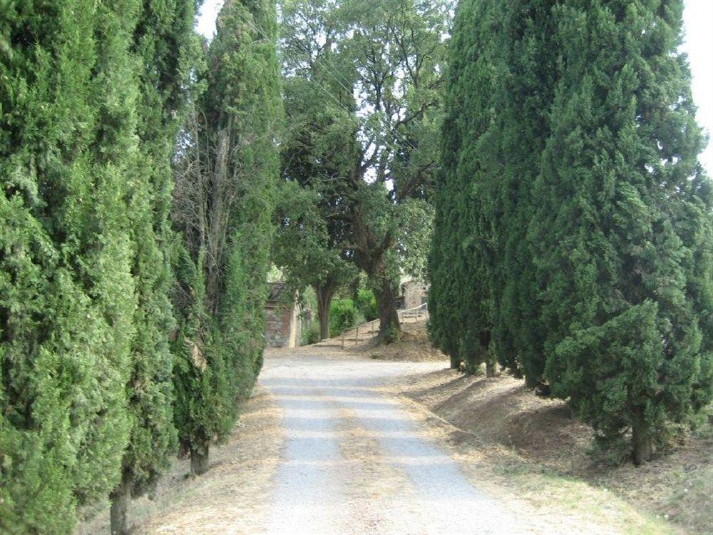 B&B Locanda Toscanini Le Piazze Esterno foto