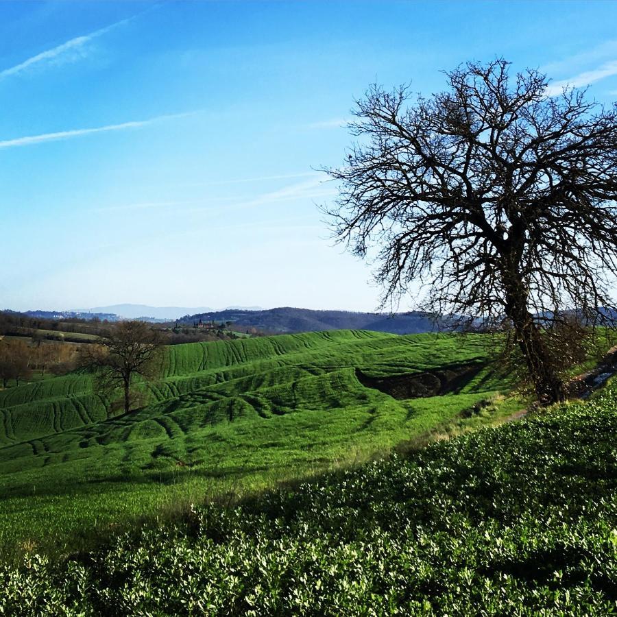 B&B Locanda Toscanini Le Piazze Esterno foto